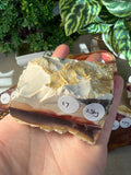 Raw Mookaite Pieces