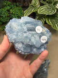 Raw Blue Calcite