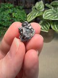 Iron Meteorite Aletai