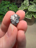 Iron Meteorite Aletai