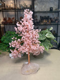 Rose Quartz Money Tree