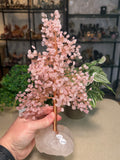 Rose Quartz Money Tree