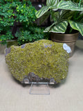 Pyromorphite Cluster