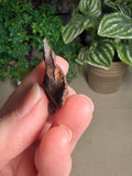 Kamil Meteorite from Egypt