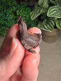 Kamil Meteorite from Egypt