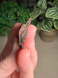 Kamil Meteorite from Egypt