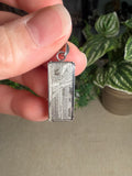 Iron Meteorite Aletai Pendant
