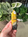 Bumble Bee Jasper Points