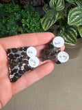 Pallasite Meteorites from Kenya