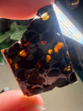 Pallasite Meteorites from Kenya