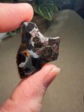 Pallasite Meteorites from Kenya