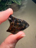 Pallasite Meteorites from Kenya