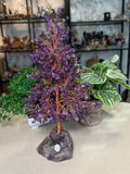 Amethyst Money Tree