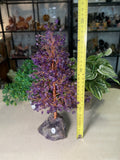 Amethyst Money Tree