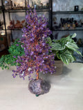 Amethyst Money Tree