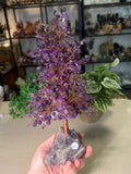 Amethyst Money Tree