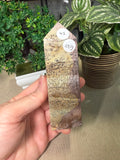 Picture Jasper Towers
