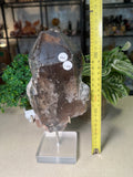 Raw Smokey Quartz on stand