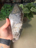 Raw Smokey Quartz on stand