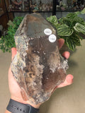 Raw Smokey Quartz on stand