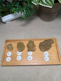 Libyan Desert Glass