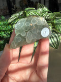 Green Grape Agate
