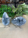 Blue Celestite Eggs