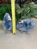 Blue Celestite Eggs