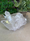 Clear Quartz Cluster 1.5kgs