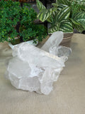 Clear Quartz Cluster 1.5kgs
