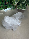 Clear Quartz Cluster 1.5kgs