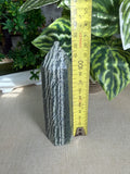 Green Zebra Jasper Tower