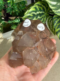 Smokey Quartz Enhydro