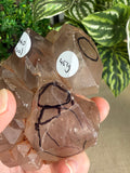 Smokey Quartz Enhydro