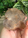 Smokey Quartz Enhydro