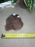 Smokey Quartz Enhydro