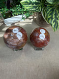 Petrified Wood Spheres