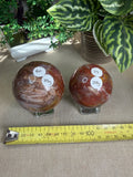 Petrified Wood Spheres