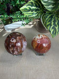 Petrified Wood Spheres