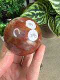 Petrified Wood Spheres