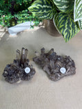 Smokey Quartz Clusters