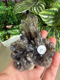 Smokey Quartz Clusters