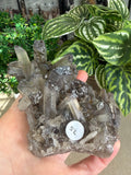 Smokey Quartz Clusters