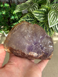 Amethyst Enhydro