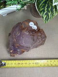 Amethyst Enhydro