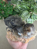 Smokey Quartz Cluster with malachite