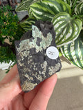 Actinolite