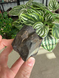 Actinolite