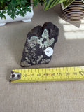 Actinolite