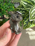 Pyrite Dragon